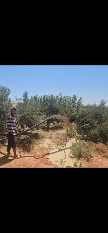 أفضل أسعار تركيب الطاقة الشمسية الفلاحية بمغيرات - 2