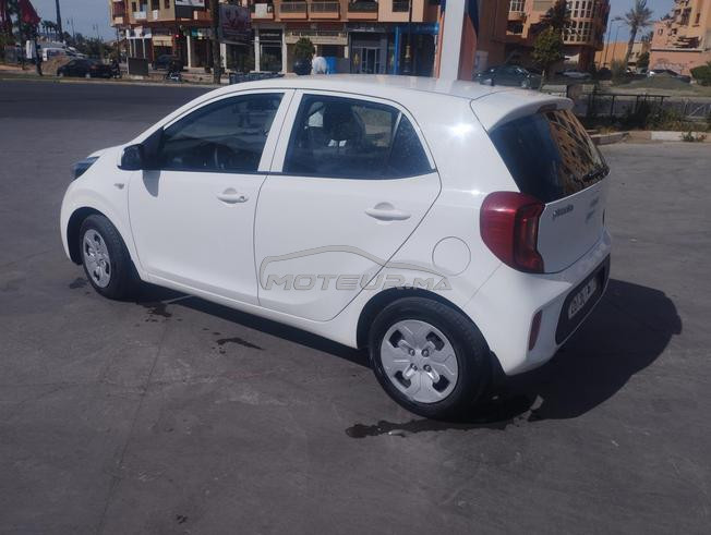 kia Picanto correct