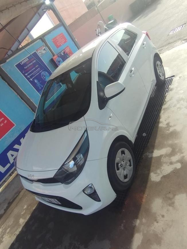 kia Picanto correct