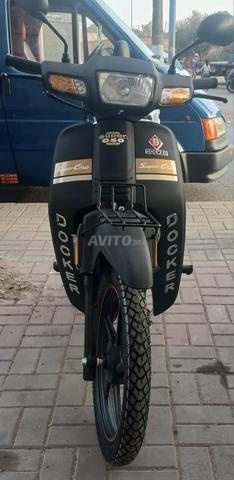 C50 2026 مازال ضوسي موطور جديد لاميزون 0 كيلومتر - 2