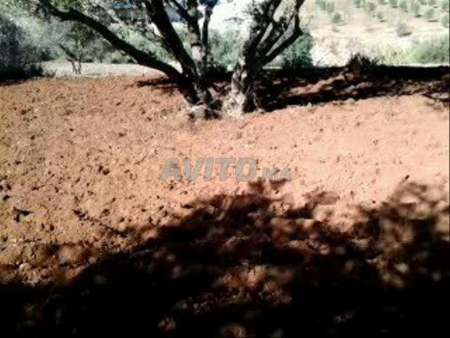 أرض مسجلة للبيع - 2