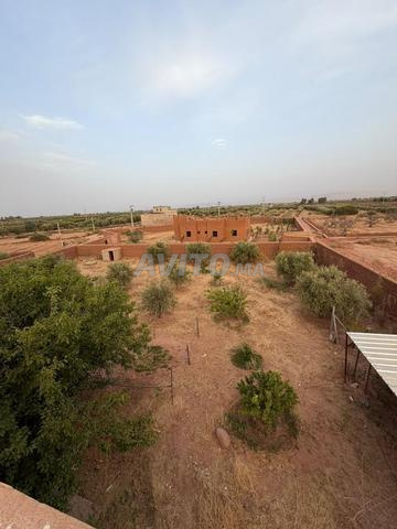 Ferme 2600 m² avec maison