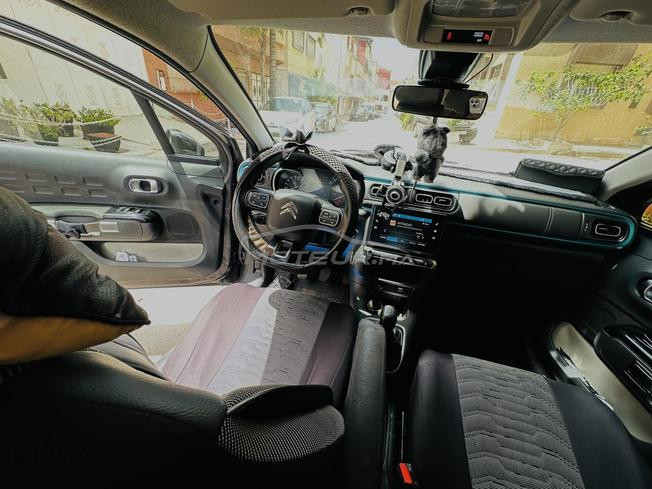 voiture neuf
