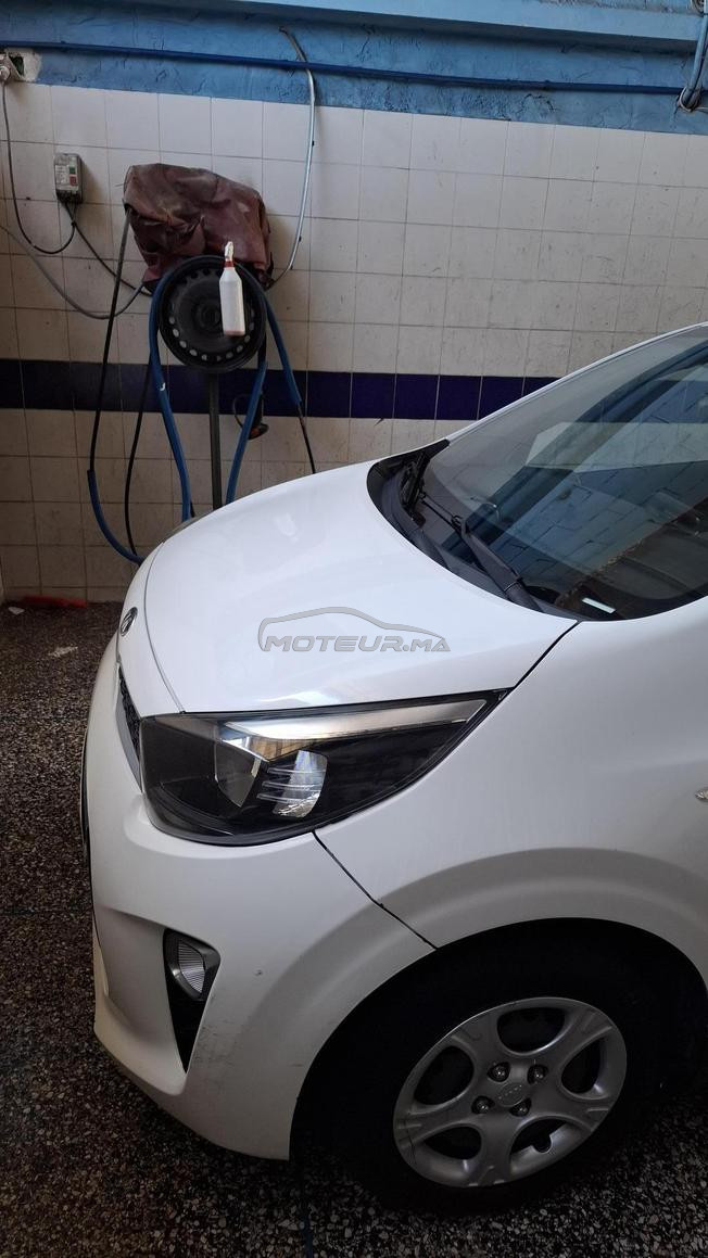 kia picanto 2019