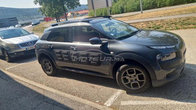 C4 cactus 🌵