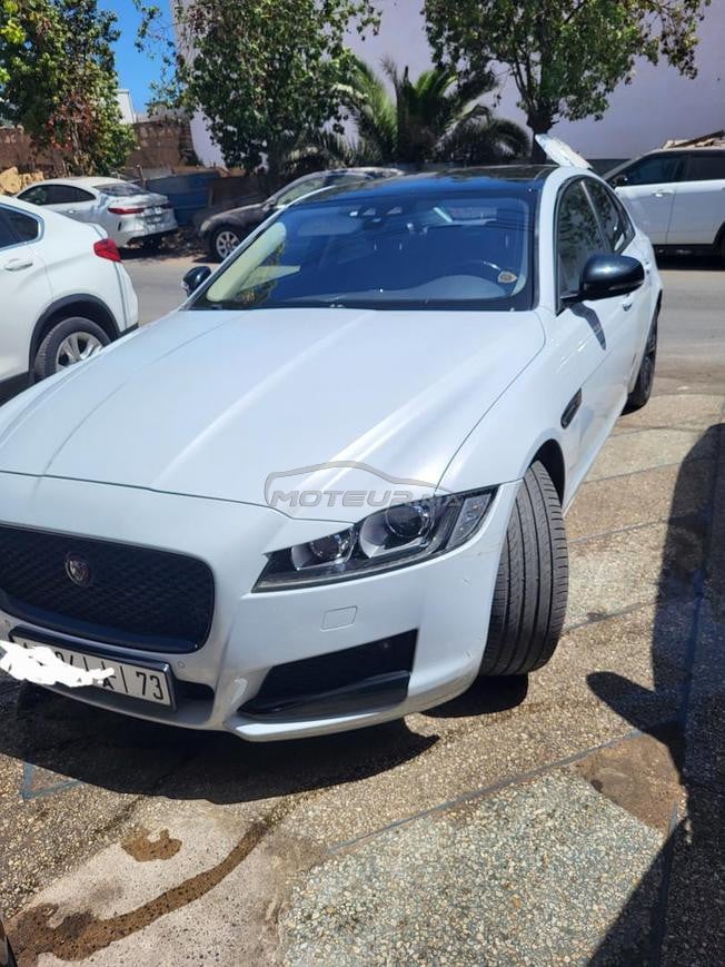 jaguar xf  hse