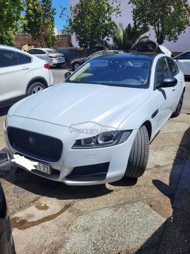 jaguar xf  hse