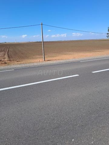 أرض فلاحية مسجلة بمساحة 12500 متر مربع