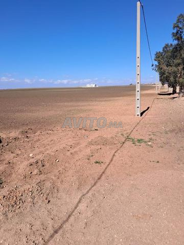 أرض فلاحية مسجلة بمساحة 12500 متر مربع - 2