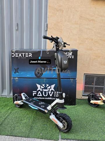 سكوتر Ecoxtrem dexter G2 - 2