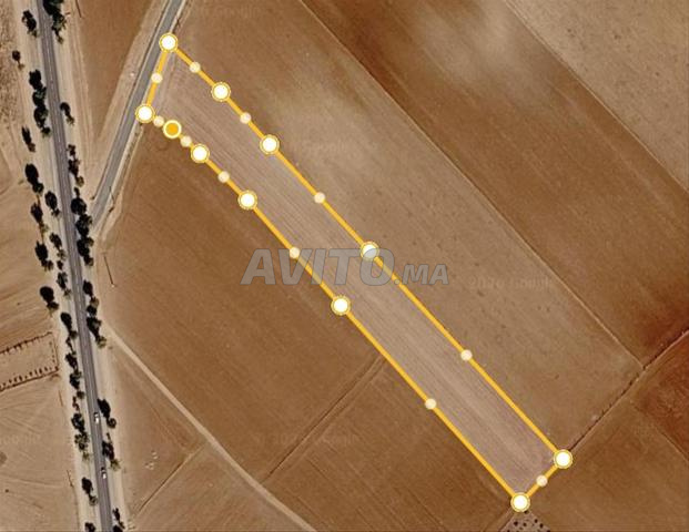 🚨 أرض فلاحية للبيع بموقع متميز 🚨 - 2