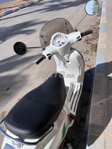 فيسبا 2013 - 2