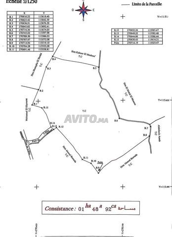 Terrain Avec Oliviers À Vendre 1 H 8200 M