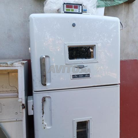 Incubateur 528 œufs automatique