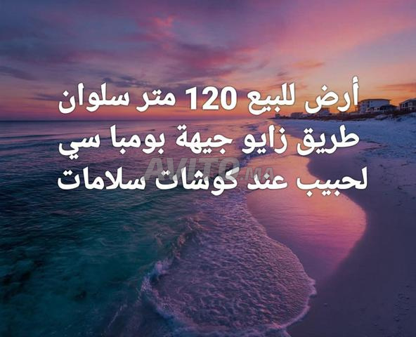 سلوان طريق زايو