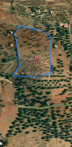 Terrain à vendre à Azilal - 2
