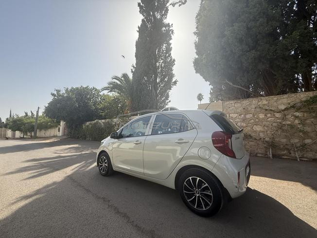 Kia Picanto Lifestyle 1ère main