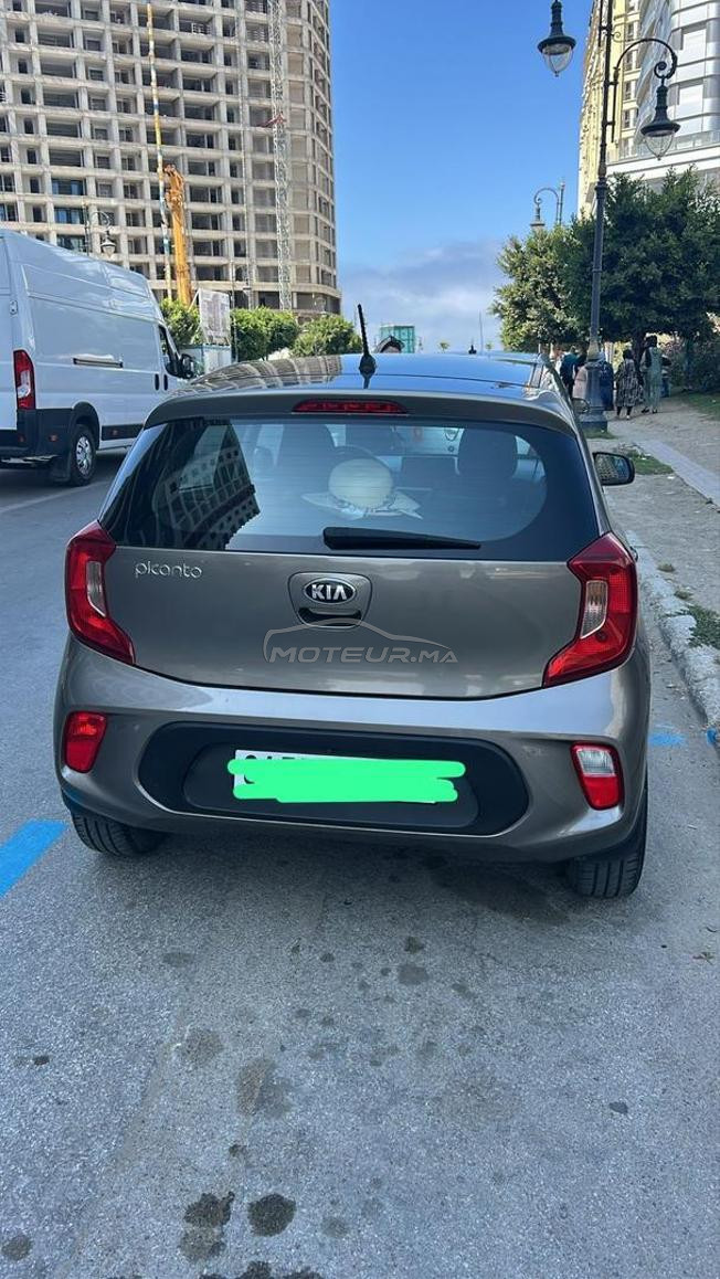 Kia Picanto Essence Manuelle 2020 à Tanger