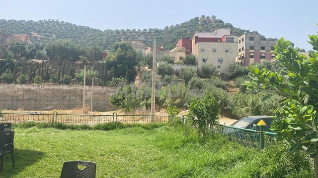 11 lots tirés à Ain Aïcha - 2