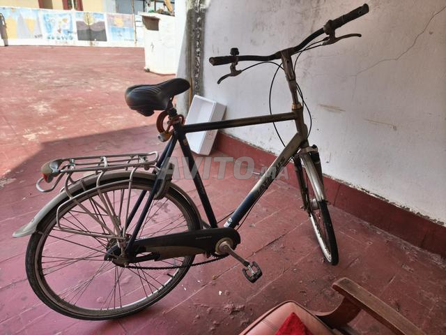 Vélo Patavus taille XL - 2