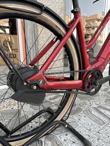 Schindelhauer Hannah e-bike 2024