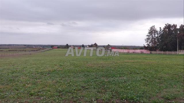 Terrains conservés et villas à Sidi Rahal