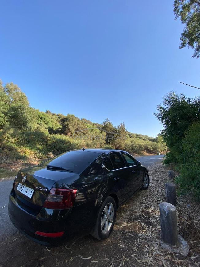 Skoda Octavia Modèle 2016 toute optiont 