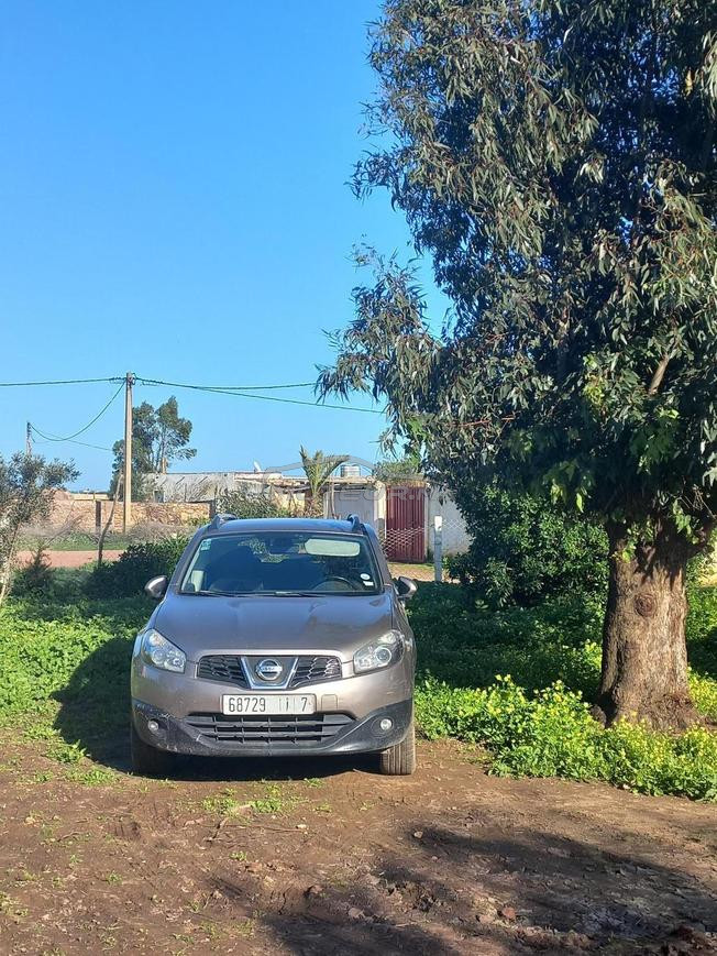 Nissan Qashqai à vendre