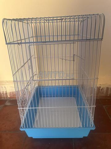 Cage neuve ou pure - 2
