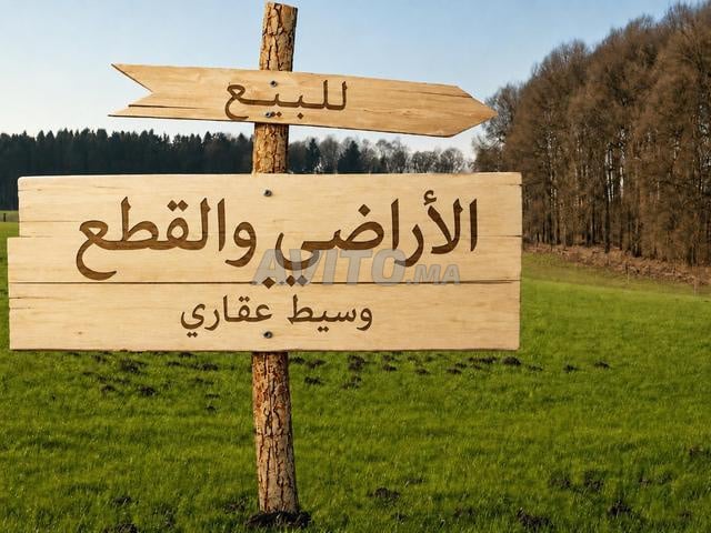 Vente et achat immobilier Sidi Allal El Bahraoui