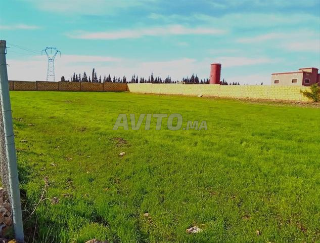 طريق مهيولة ولاد رحمون أزمور - 2