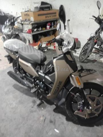 Moto 33 2025 - 2