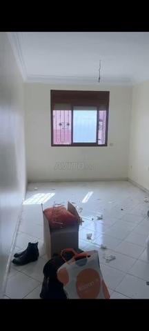 رياض صوفيا ليساسفة - 2