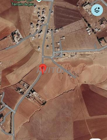 4 hectares titrés à Ain Sebt - 2