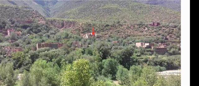 ٠٧/٠٨/٢٠٢٦ - 2