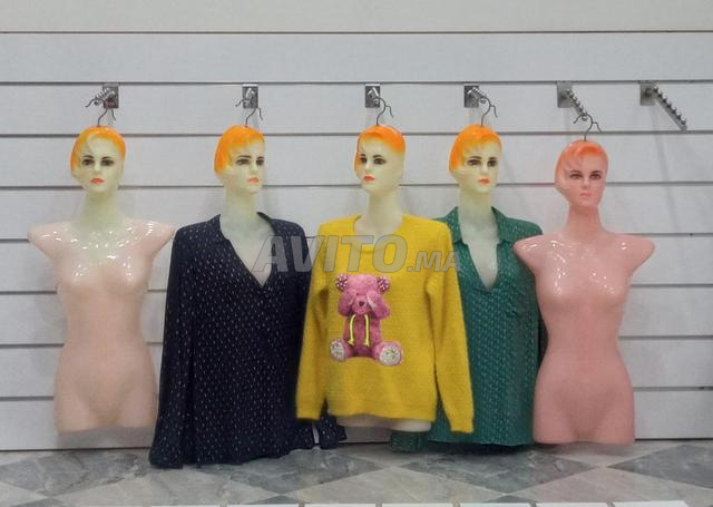 26 Bustes Mannequins Femmes