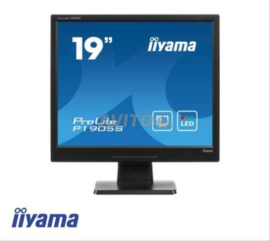 IIYAMA PROLITE P1905S – 19 Pouces