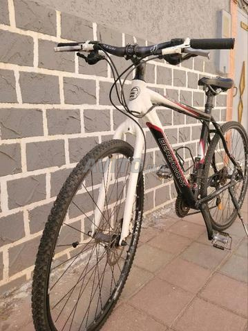Vélo Bergamote - 2