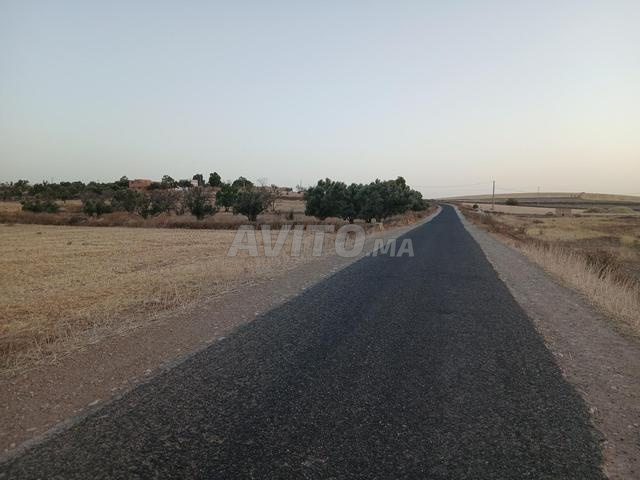 أرض على طريق مسكالة الكريمات - 2