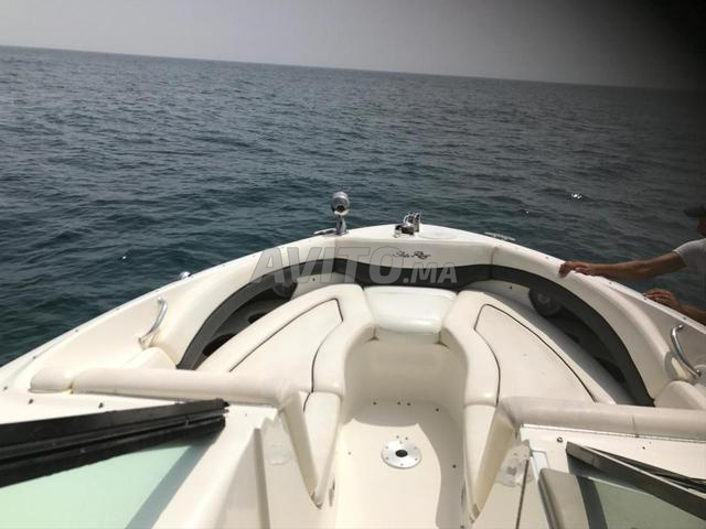 Vente Bateau SeaRay Cruiser 295 Select - Bon état