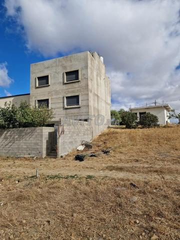 Maison Qaliya - 2