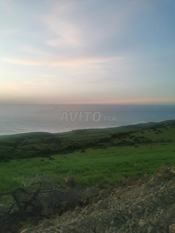 أرض محفظة للبيع بنواحي مدينة أصيلة (العقبة) - 2