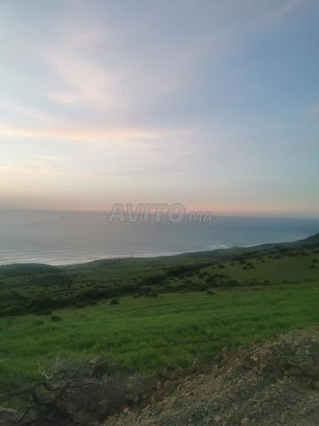 أرض محفظة للبيع بنواحي مدينة أصيلة (العقبة)