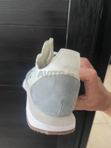 Lacoste 43 - 2