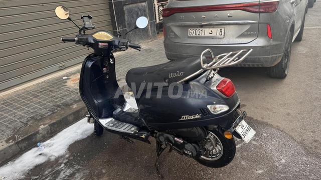 Cyclomoteur ITALO MAPPLE C50 - 2