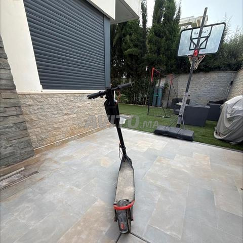 Trottinette pro edition - 2