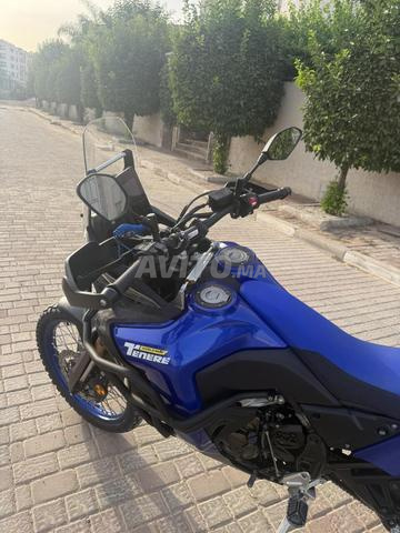Yamaha Tenere World Raid dédouaner en 2025 - 2