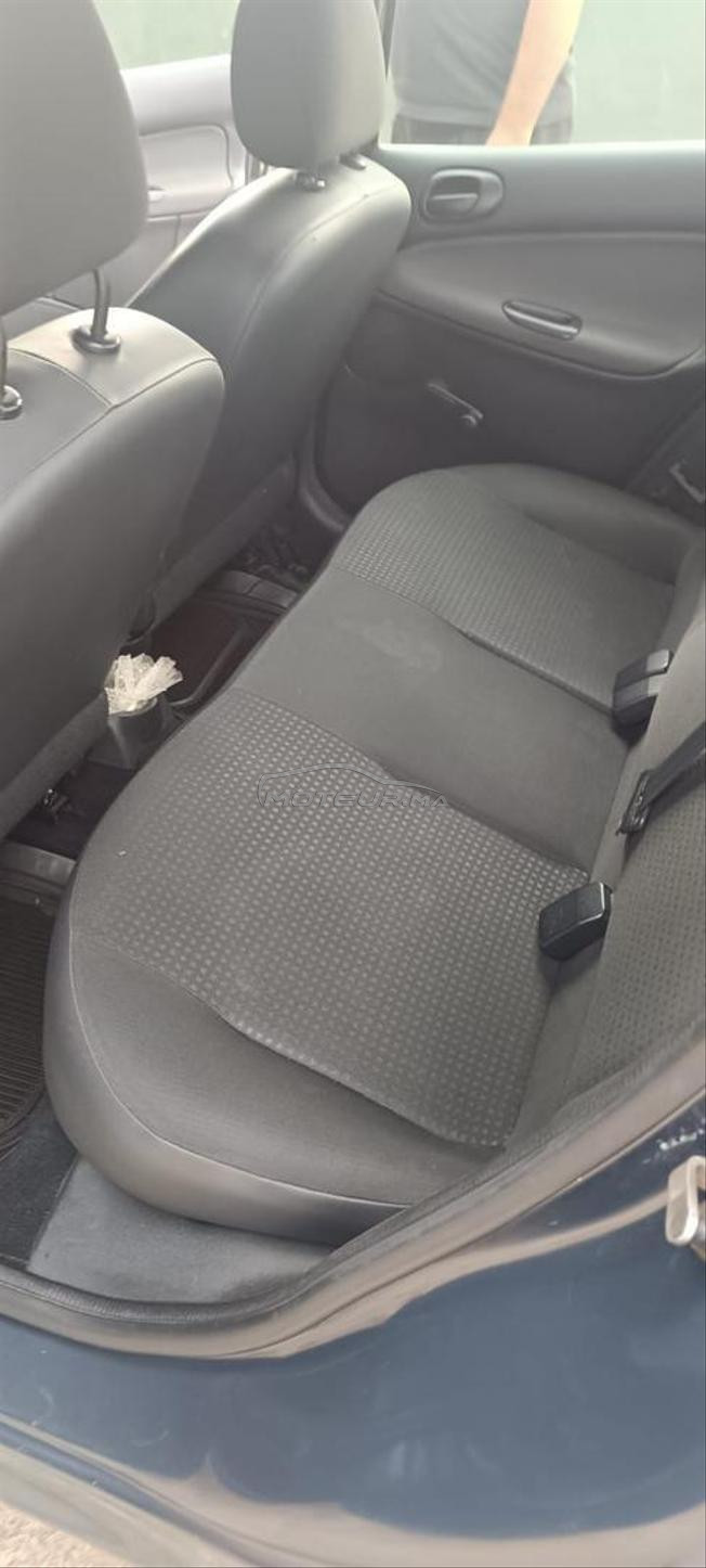 Peugeot 206 pluis