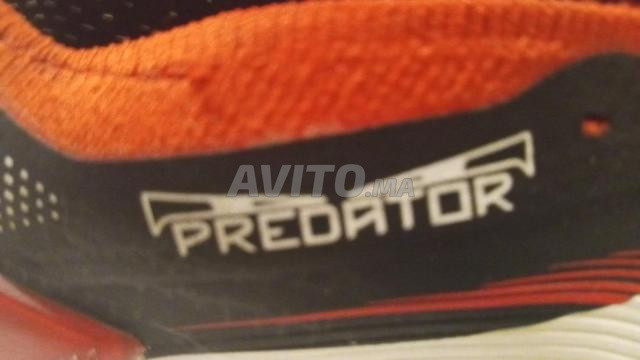 كوداس Predator 2026 - 2