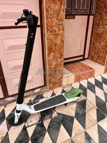 تروتينيت سكوتر كهربائي برو - 2